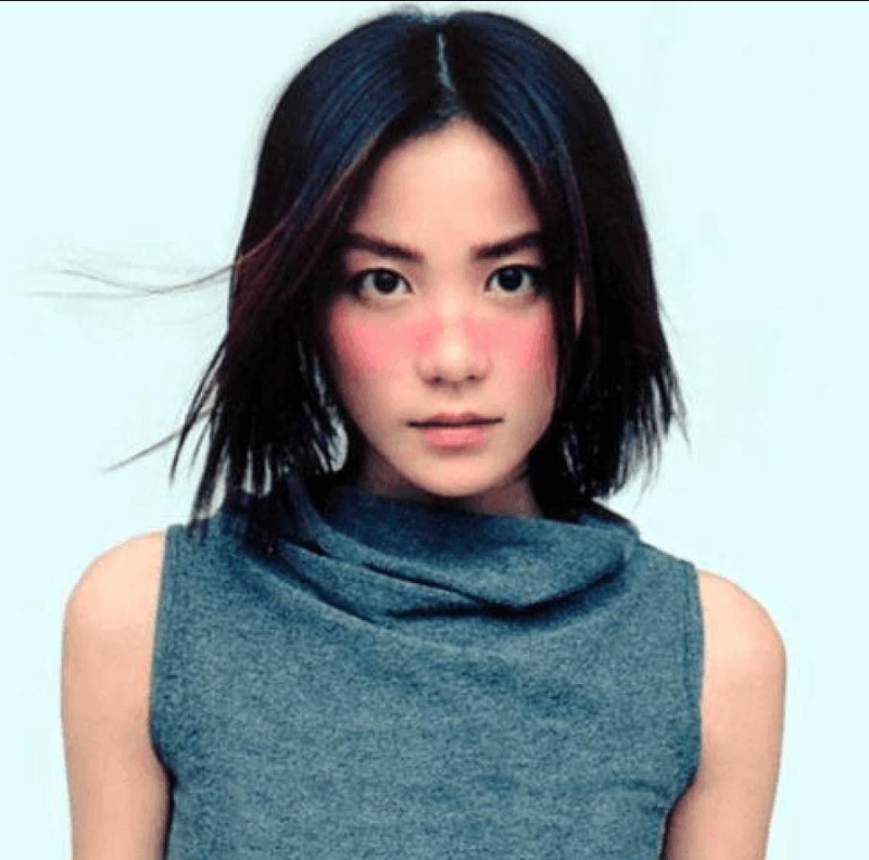 王菲人格特質與類型分析報告